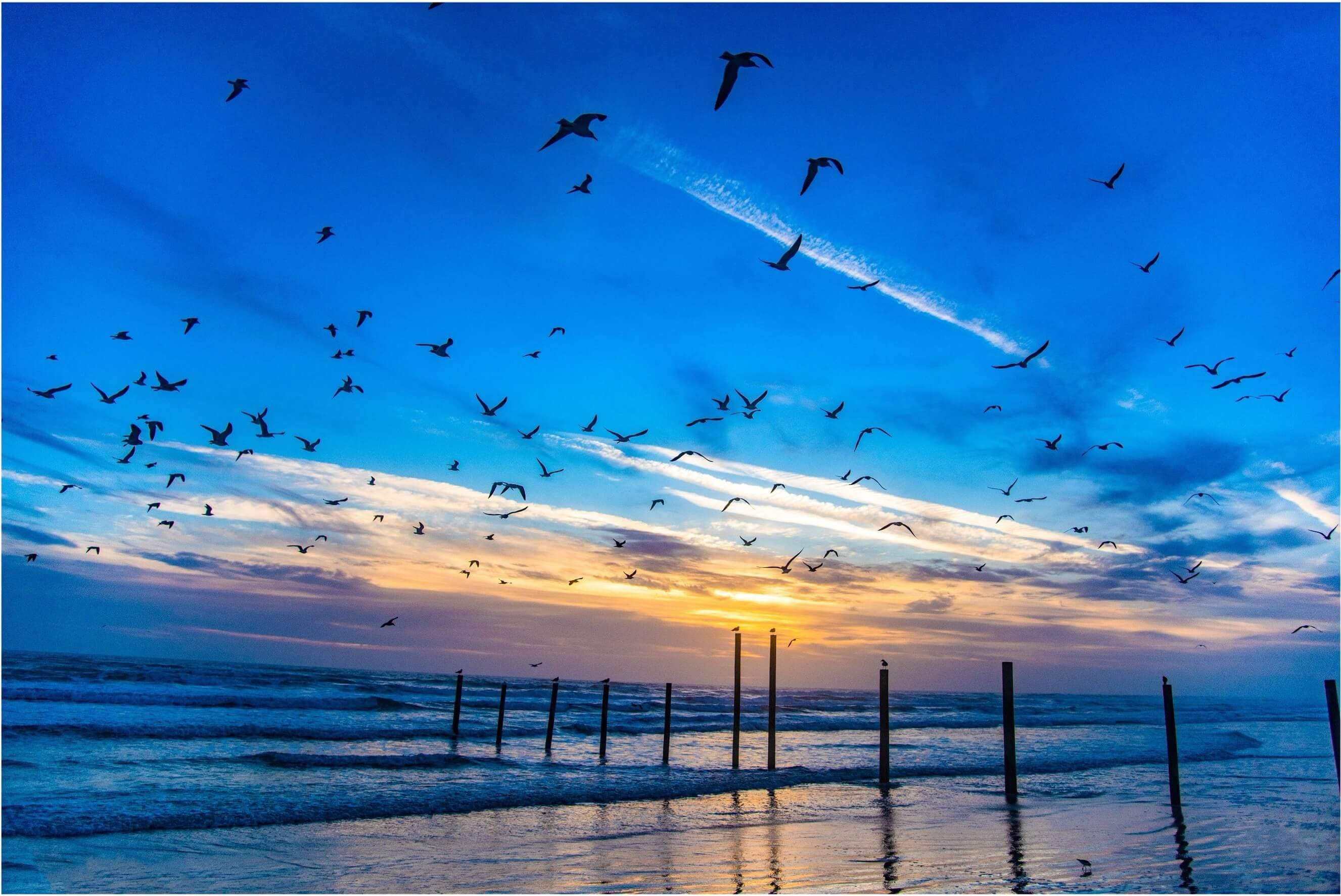 A scenic view of a beach in Central East Florida